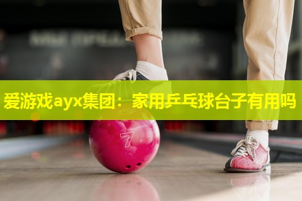 爱游戏ayx集团：家用乒乓球台子有用吗