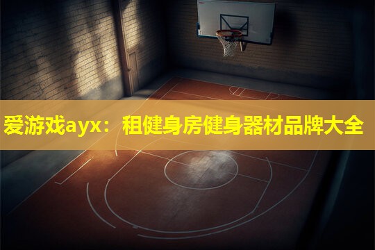 爱游戏ayx：租健身房健身器材品牌大全