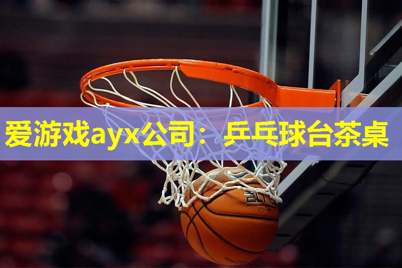 爱游戏ayx公司：乒乓球台茶桌