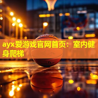 ayx爱游戏官网首页：室内健身爬梯