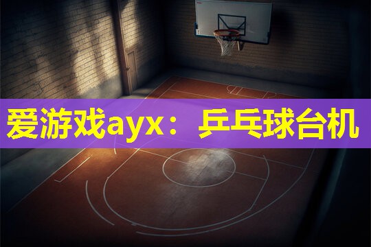 爱游戏ayx：乒乓球台机