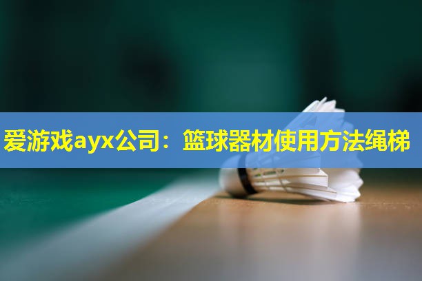 爱游戏ayx公司：篮球器材使用方法绳梯