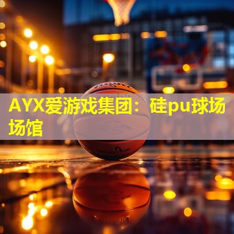 AYX爱游戏集团：硅pu球场场馆