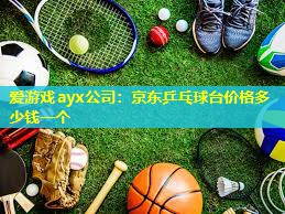 爱游戏ayx公司：京东乒乓球台价格多少钱一个