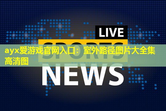 ayx爱游戏官网入口：室外路径图片大全集高清图