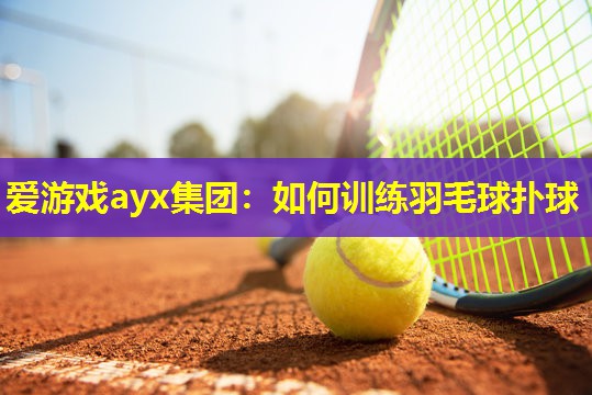 爱游戏ayx集团：如何训练羽毛球扑球