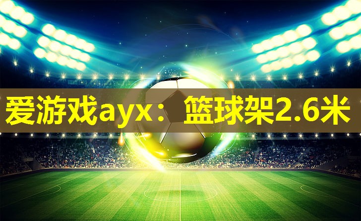 爱游戏ayx：篮球架2.6米