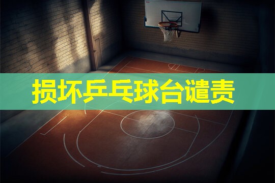 损坏乒乓球台谴责