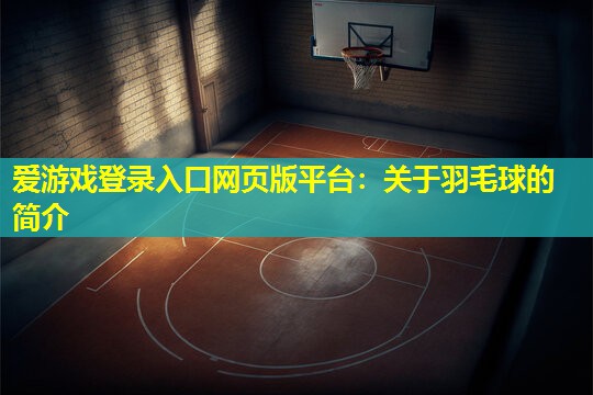 关于羽毛球的简介